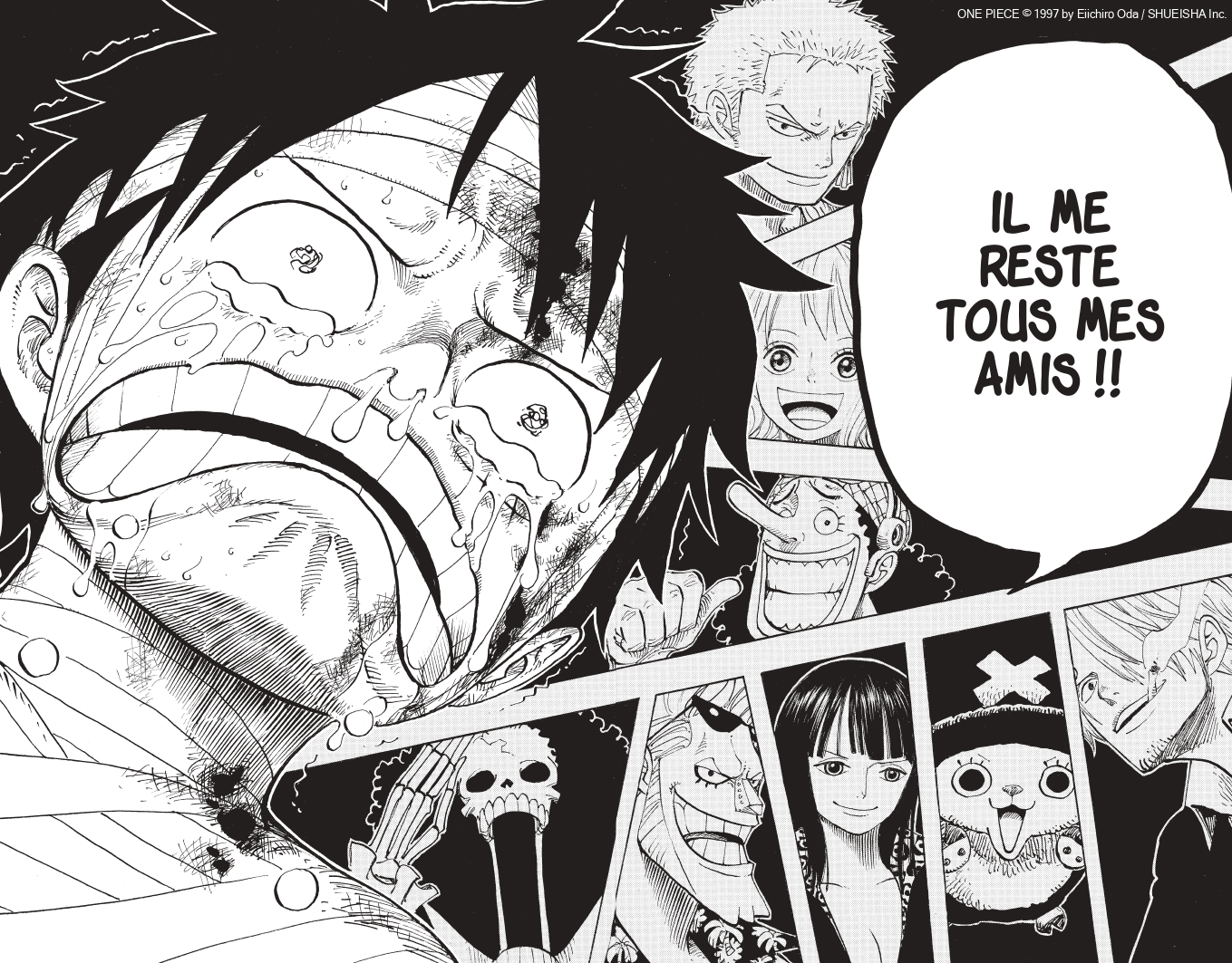 Manga One Piece - Tous mes amis !